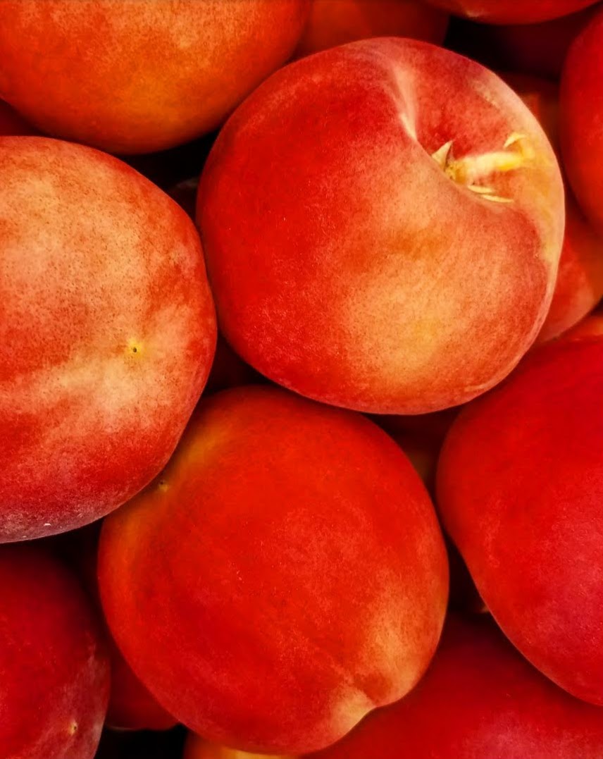 Screenshot_20190727-204116_Instagram